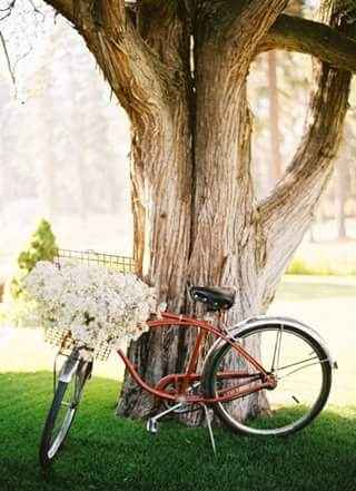 Decoracion vintage - 1