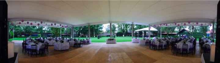 Mis avances... el jardín!!!! - 1