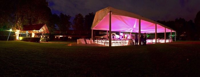 Mis avances... el jardín!!!! - 2