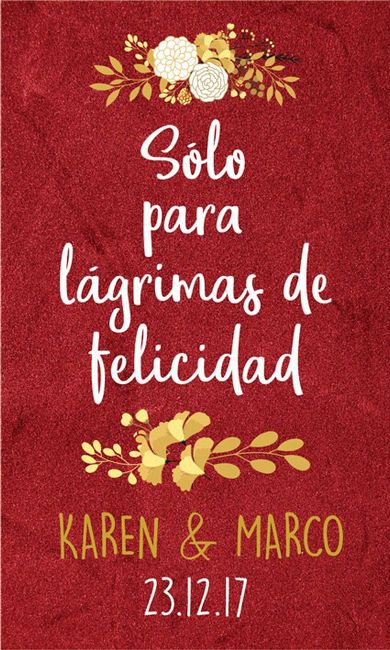  Lagrimas de felicidad - 1