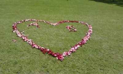 ¡Somos novios!