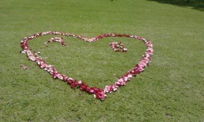 ¡Somos novios!