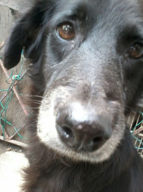 La foto de tu mascota! - 4