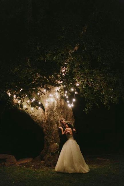 Boda de noche (fotos) - 5