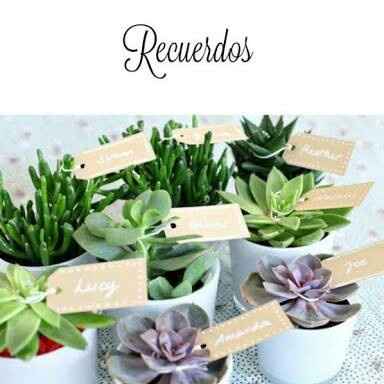 Que les parecen las plantas - 1