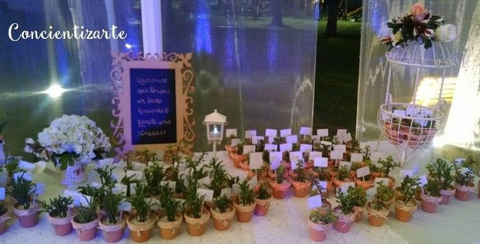 Que les parecen las plantas - 3