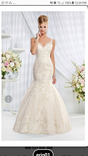 Vestidos con bordados y brillos - 1