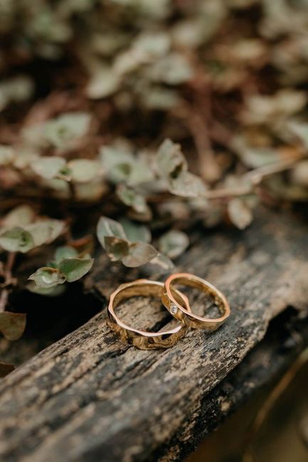 Argollas de matrimonio 1