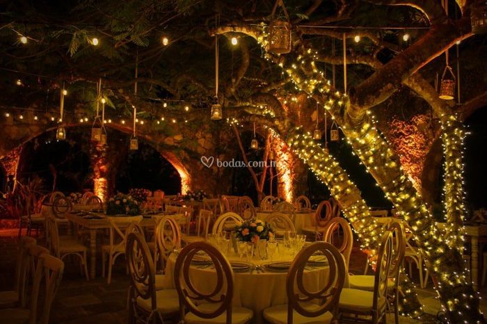 Quiero luces - 1