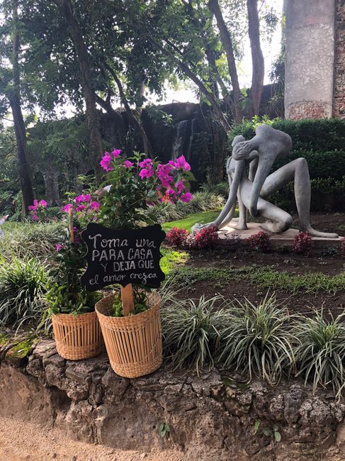 Tuvimos la boda de nuestros sueños 9/jun/2018 - 15