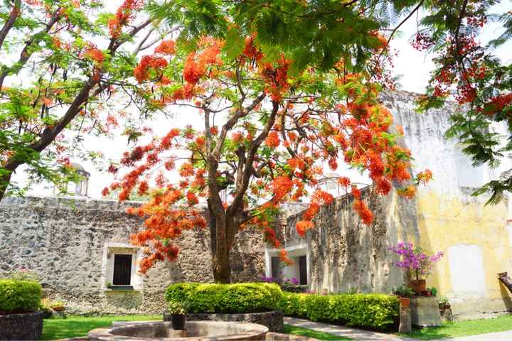 Nuestra boda en hacienda san gaspar - 2