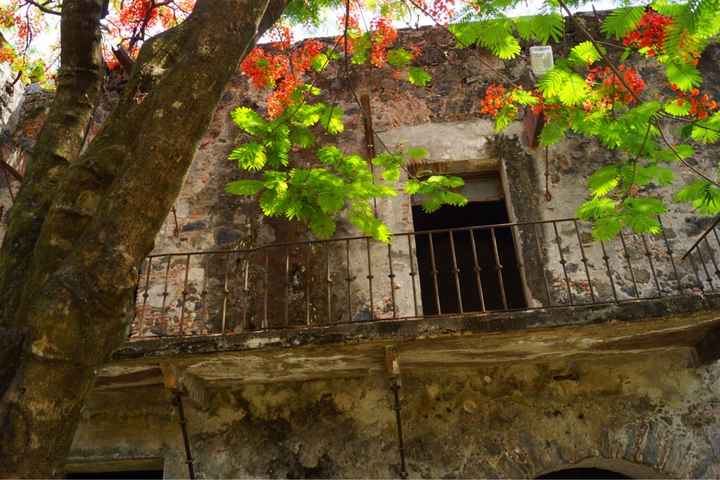 Nuestra boda en hacienda san gaspar - 5