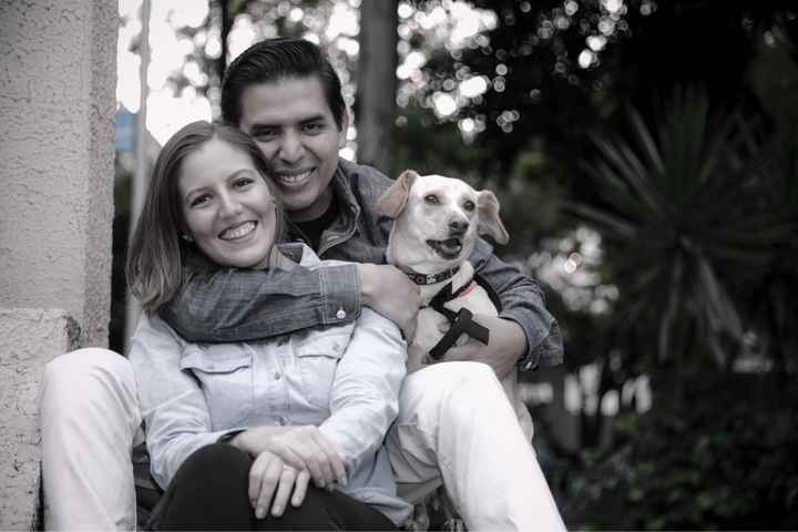  Save the date con perros - 2