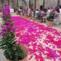 Tuvimos la boda de nuestros sueños 9/jun/2018 - 6