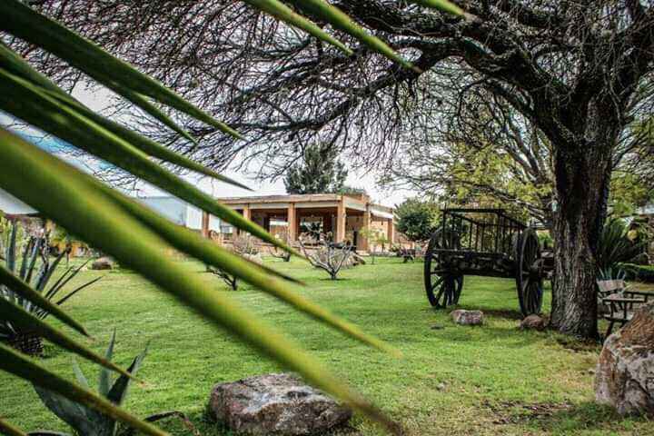 ¿En qué tipo de locación te casas? 2