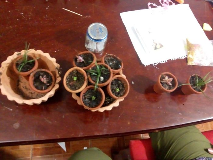 Macetitas mexicanas 🌵🌱 - 2
