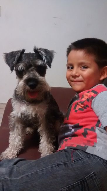 Presenten mascotas.... - 1