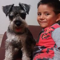 Presenten mascotas.... - 1