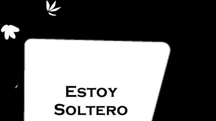 estoy soltera