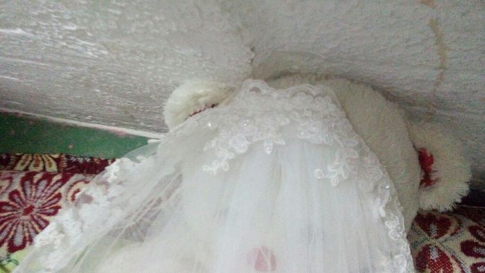 Toda novia debe llevar algo prestado - 3