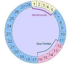 calendario menstrual 