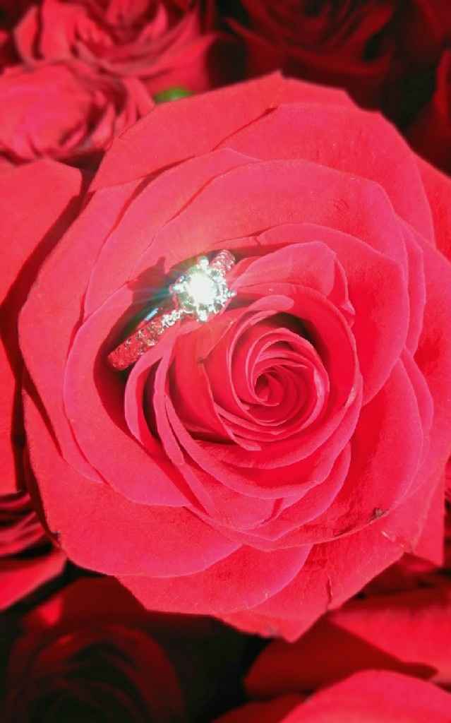 Si hubieras podido elegir el anillo de compromiso.. - 1