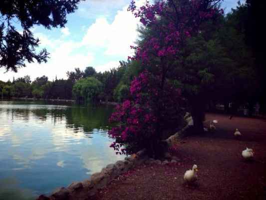 Laguna de San Baltazar