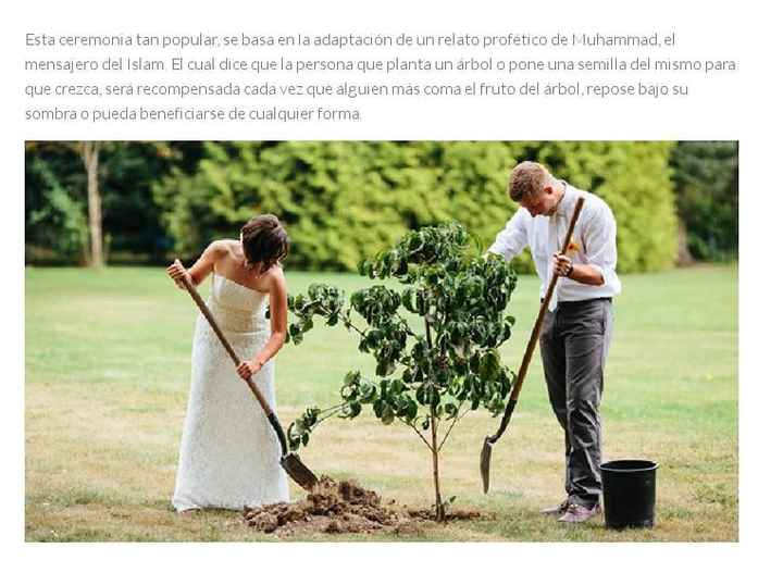 Ceremonia del árbol 