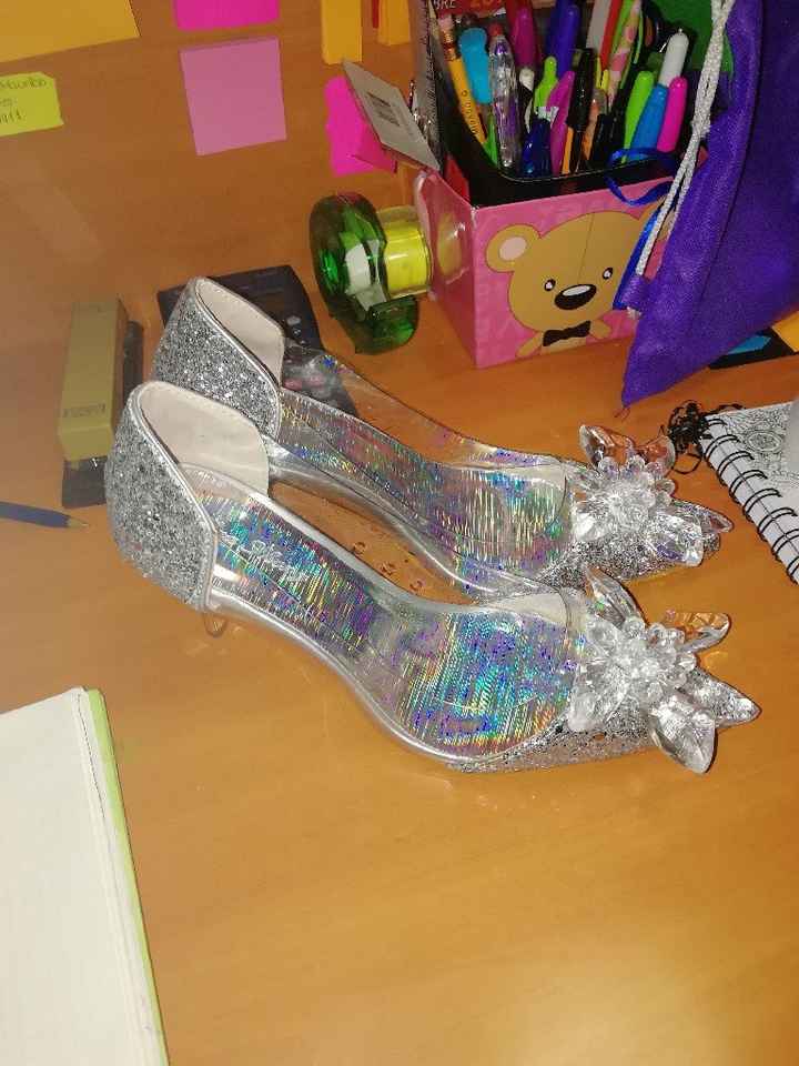 Ya llegaron mis zapatillas para el civil - 2