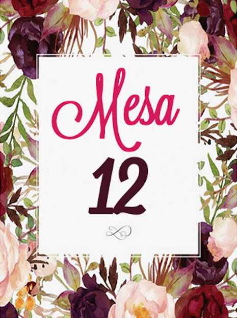 12 MESA 