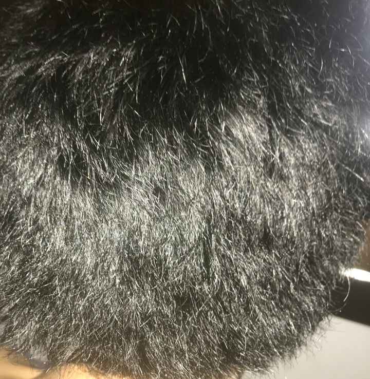 Dejo 3 fotos de mi cabello 