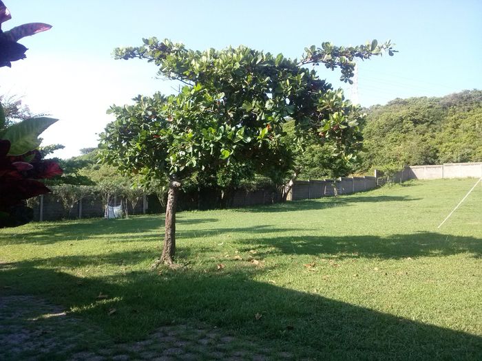 Visita a Alvarado #1 (Lugar de recepción) - 1