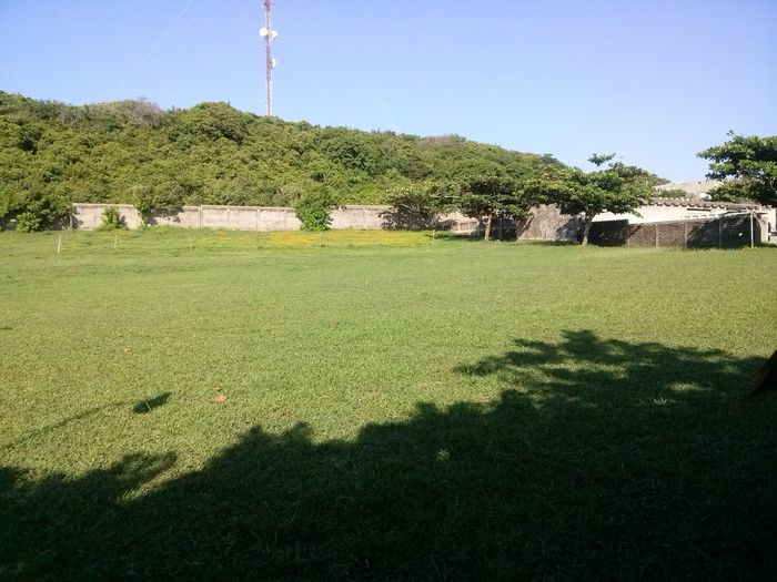 Visita a Alvarado #1 (Lugar de recepción) - 2