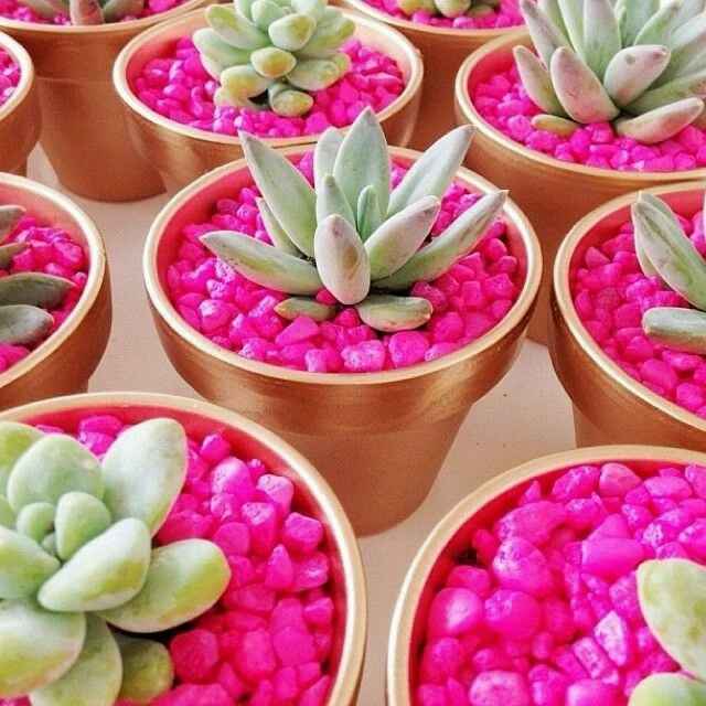 Idea de macetitas para recuerdo