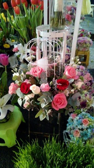 Mercado Jamaica Ayuda!! - 1