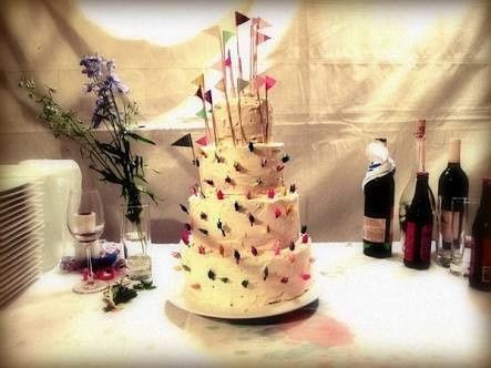 Boda scout 17