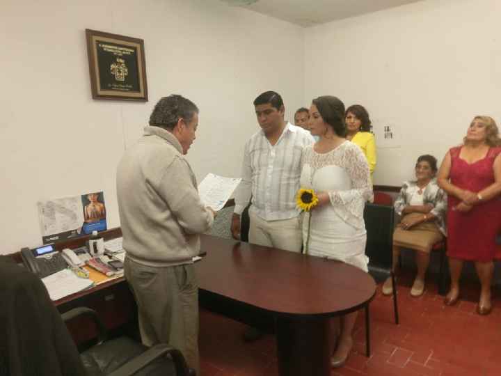 La loca de los girasoles en 8 fotos - 2