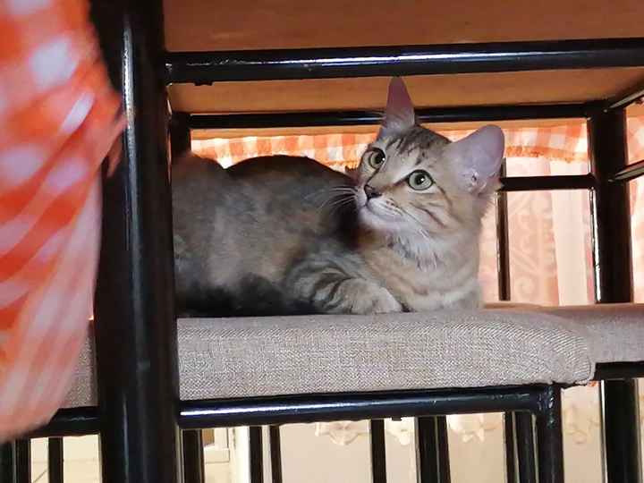 Tipos de señoras - 1