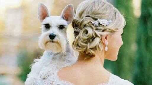 Fotos que te tienes que tomar si incluiras a tu mascota el dia de la boda - 4