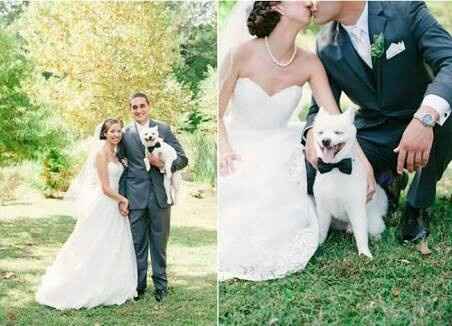 Fotos que te tienes que tomar si incluiras a tu mascota el dia de la boda - 8