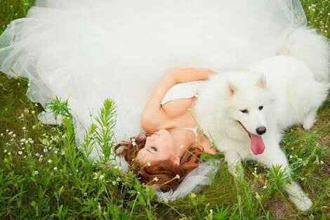 Fotos que te tienes que tomar si incluiras a tu mascota el dia de la boda - 9