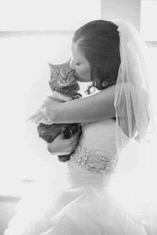 Fotos que te tienes que tomar si incluiras a tu mascota el dia de la boda - 10