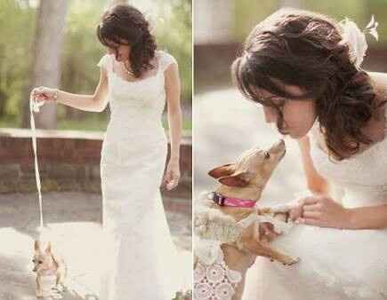 Fotos que te tienes que tomar si incluiras a tu mascota el dia de la boda - 11