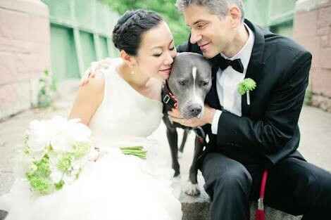 Fotos que te tienes que tomar si incluiras a tu mascota el dia de la boda - 12