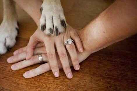 Fotos que te tienes que tomar si incluiras a tu mascota el dia de la boda - 16