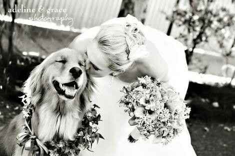 Fotos que te tienes que tomar si incluiras a tu mascota el dia de la boda - 18