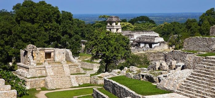 palenque 