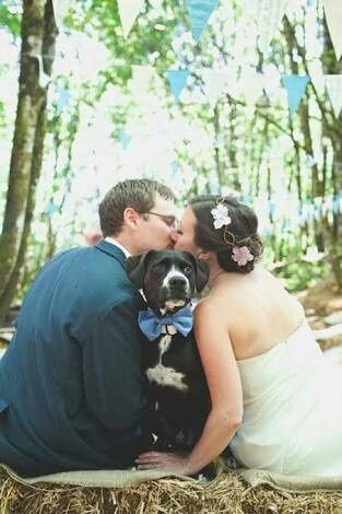 Fotos que te tienes que tomar si incluiras a tu mascota el dia de la boda - 3