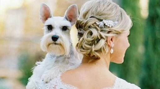 Fotos que te tienes que tomar si incluiras a tu mascota el dia de la boda - 4