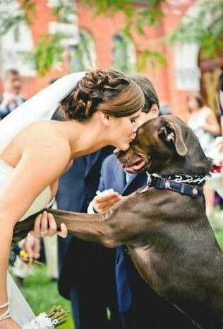 Fotos que te tienes que tomar si incluiras a tu mascota el dia de la boda - 6